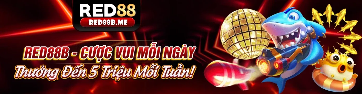 Tầm nhìn và sứ mệnh chuyên nghiệp của kkwin03